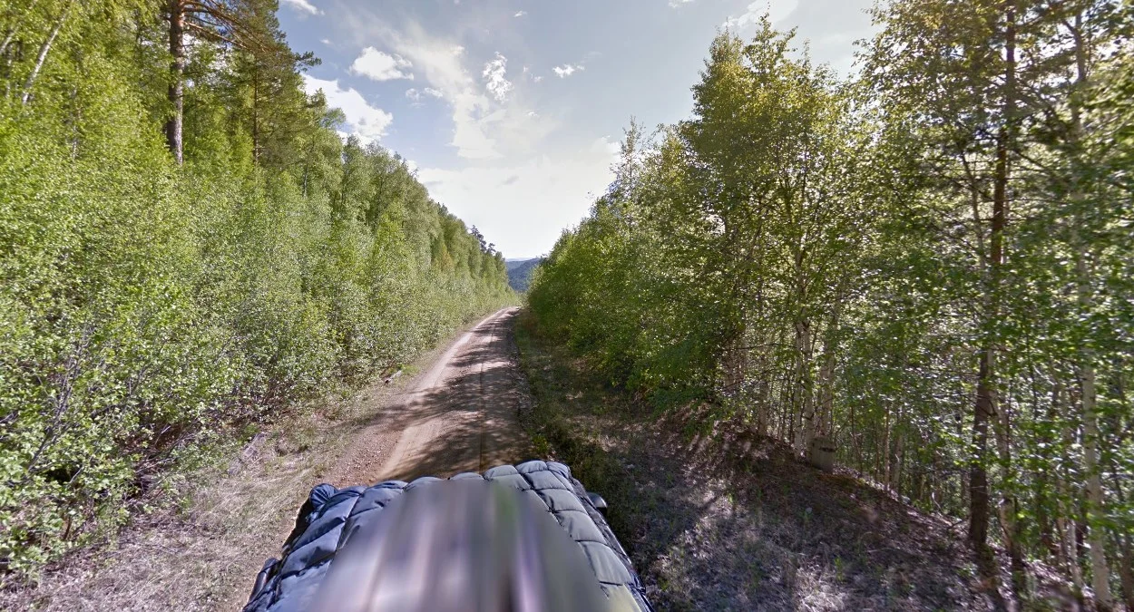 布甘特鎮：狹窄土路與茂密樹林