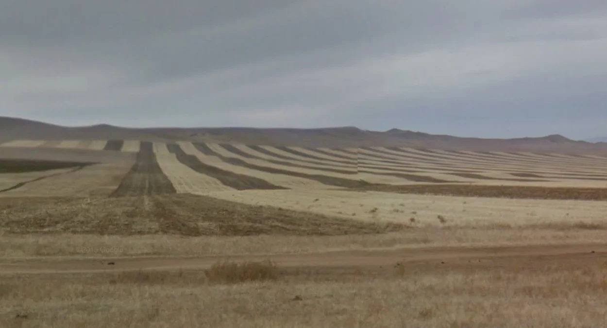 烏蘭巴托附近：罕見的農田