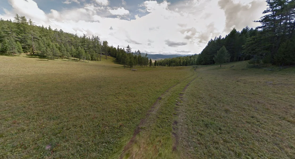 汗霍希國家公園：茂密森林