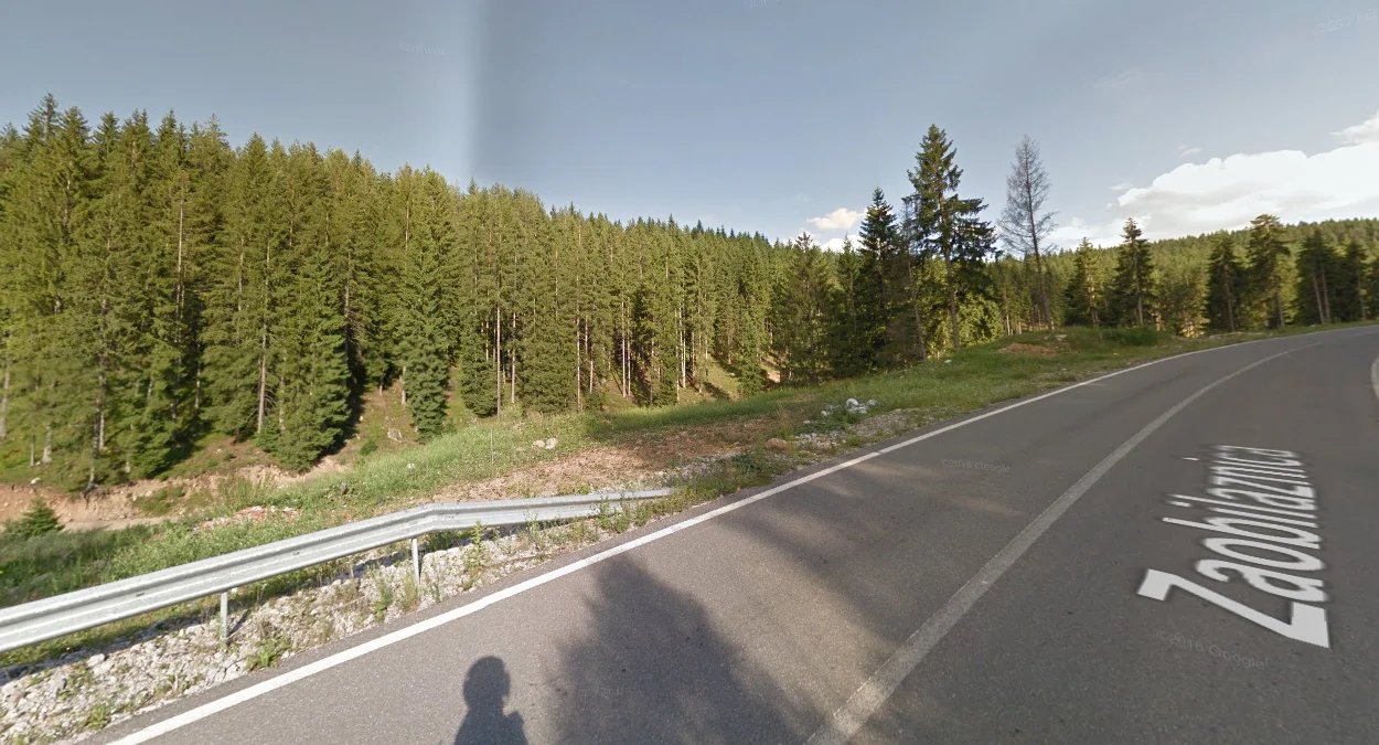 北部與東部松樹林