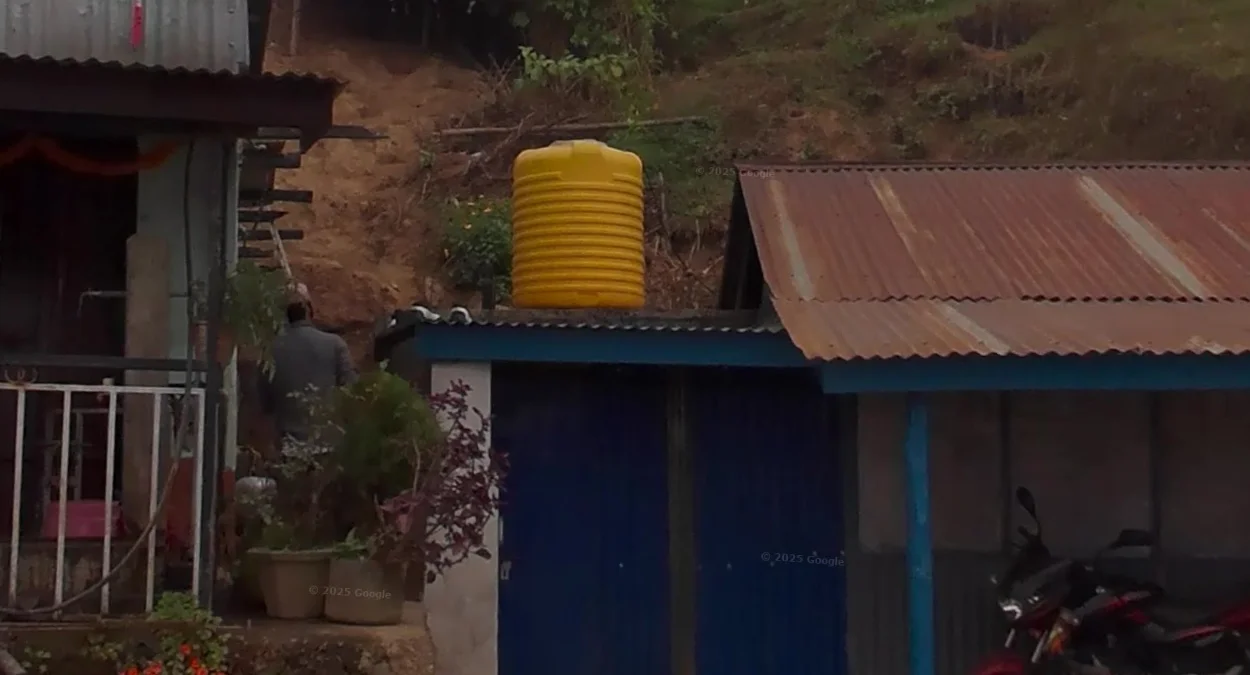 東部常見黃色水箱