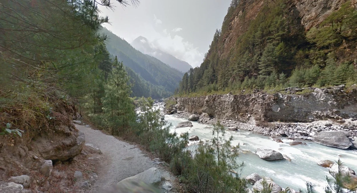 徒步區南部綠色森林