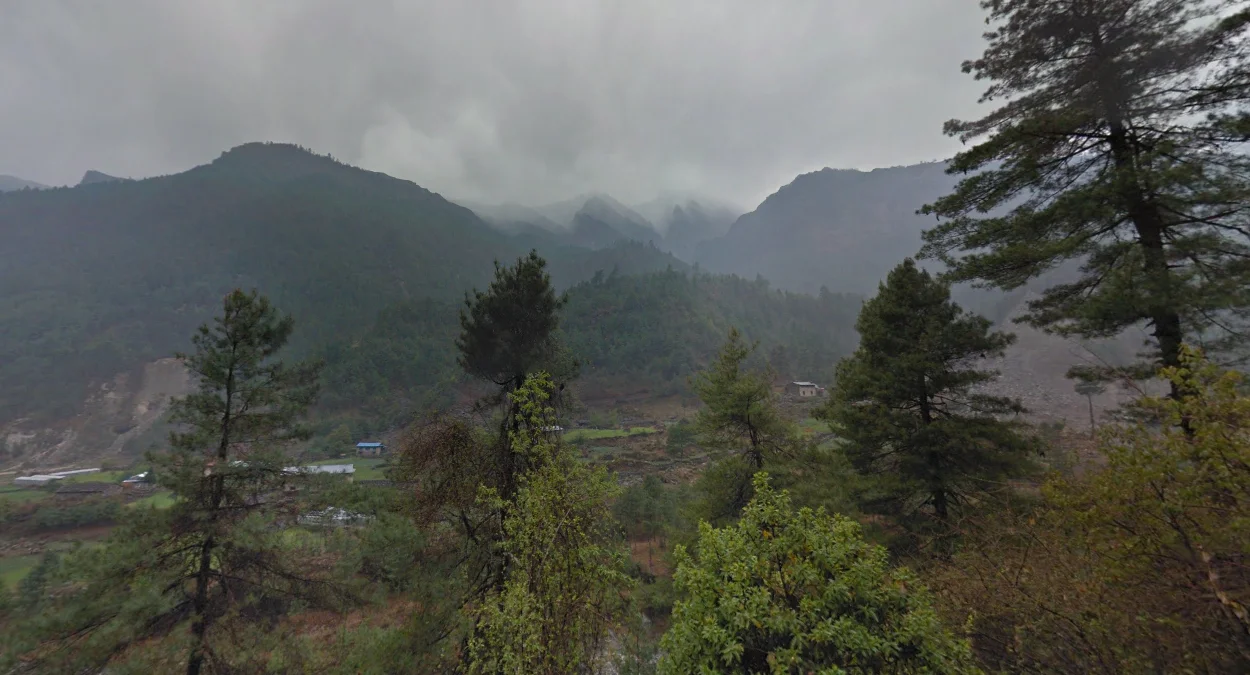 南端森林山谷陰暗景觀