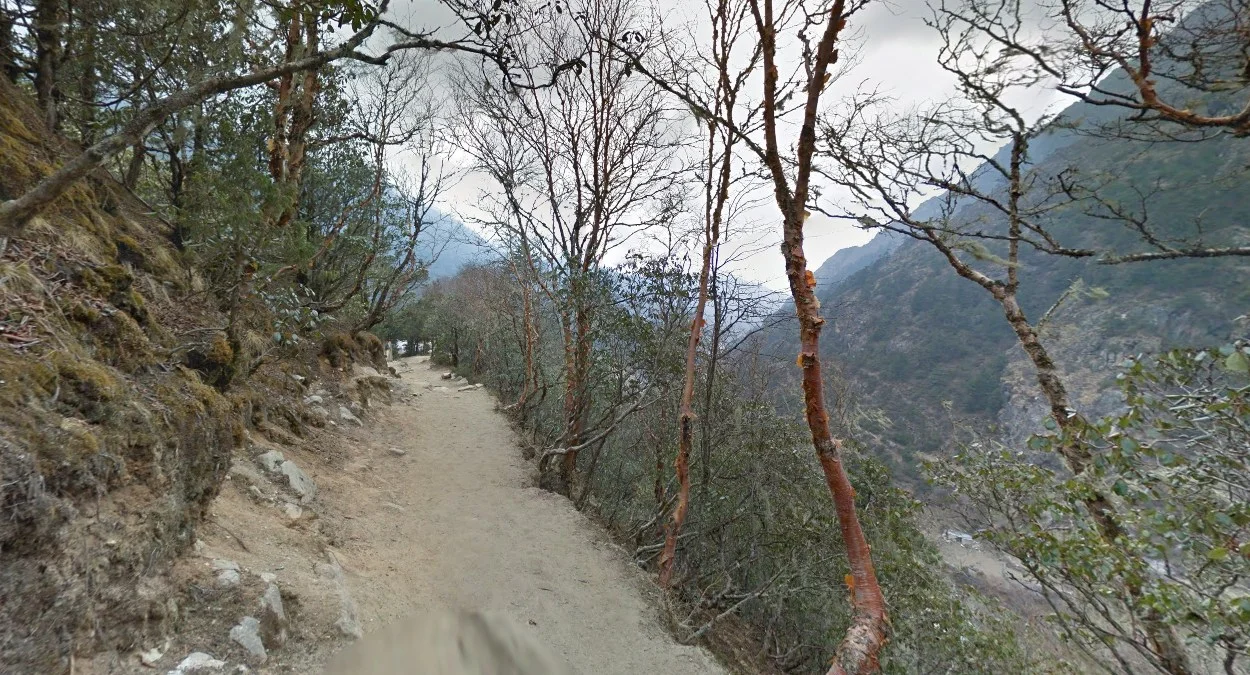 德博切東部陰沉森林