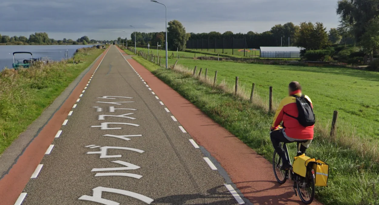 荷蘭常見紅粉色自行車道