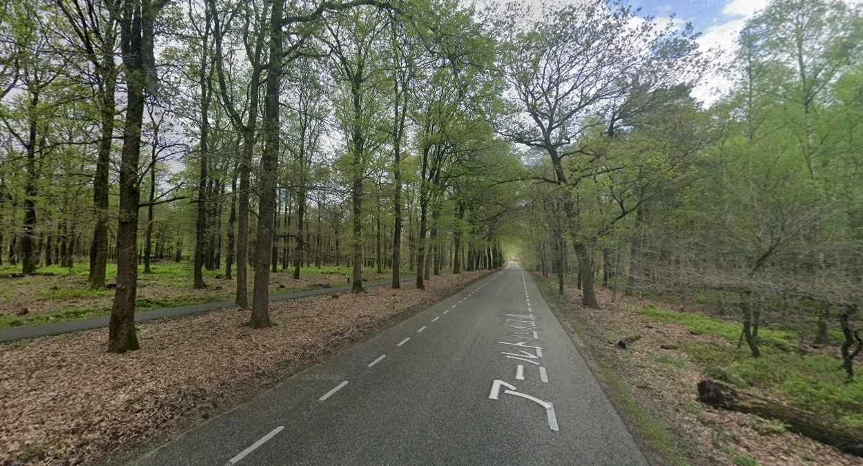 費呂沃地區森林與沙地