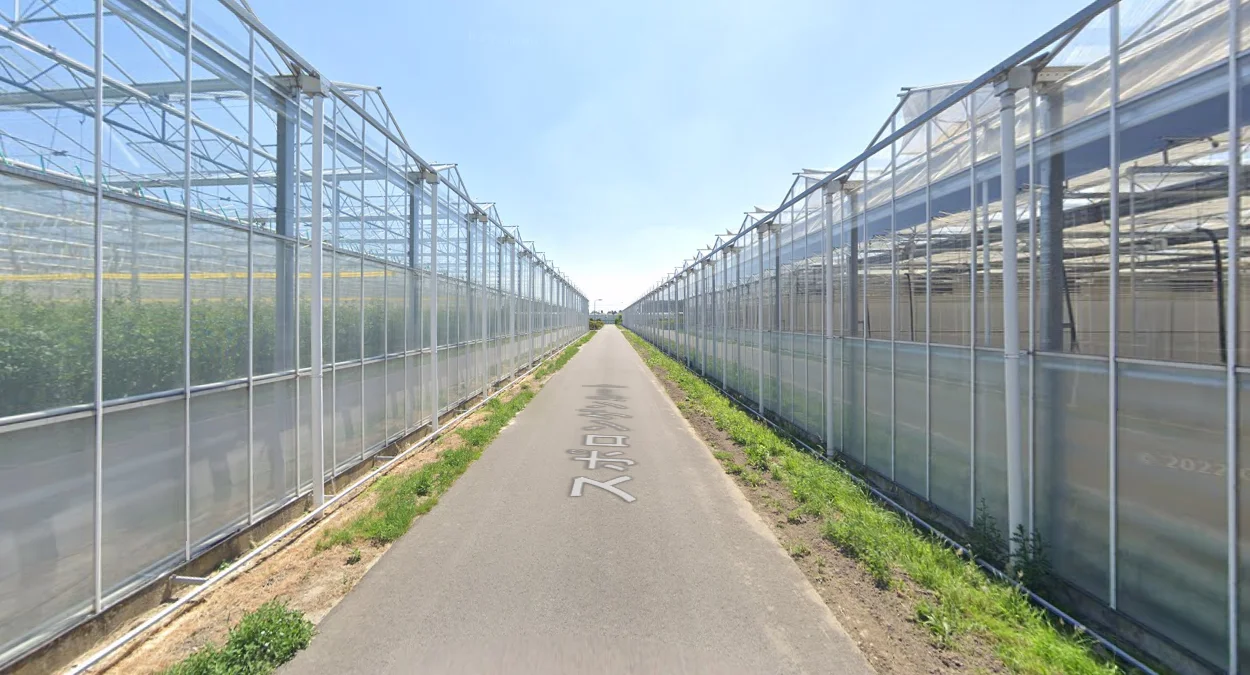 韋斯特蘭市鎮溫室遍布