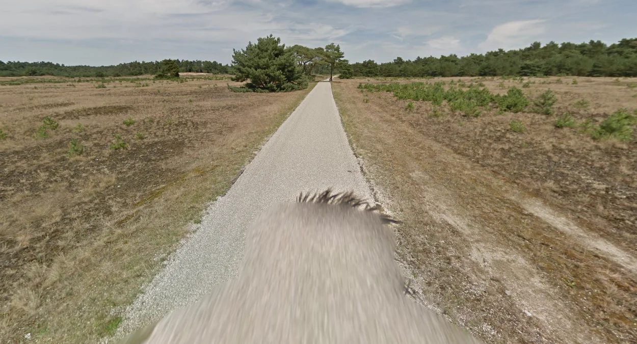 德霍赫費呂沃國家公園街景車