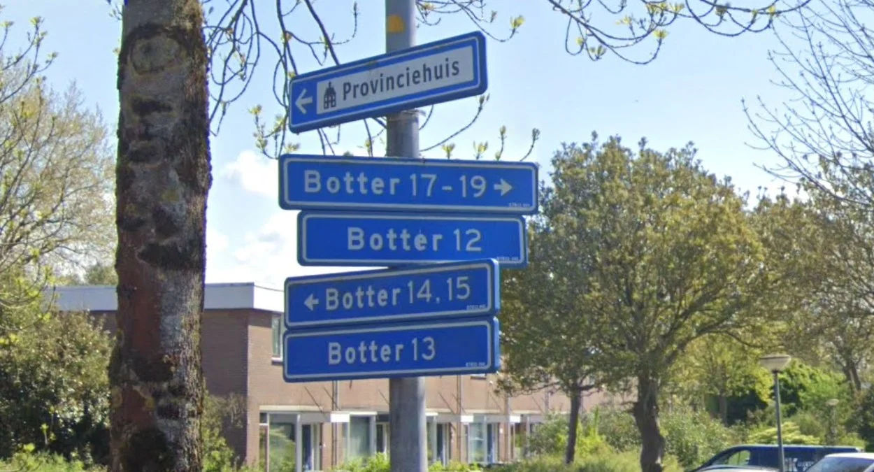 萊利斯塔德街道命名方案