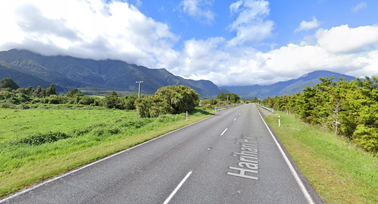 南島溫帶雨林與崎嶇景觀