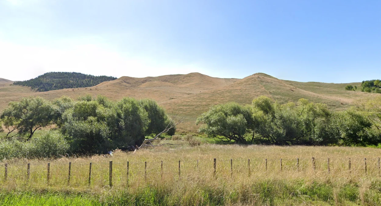 霍克斯灣金色草丘