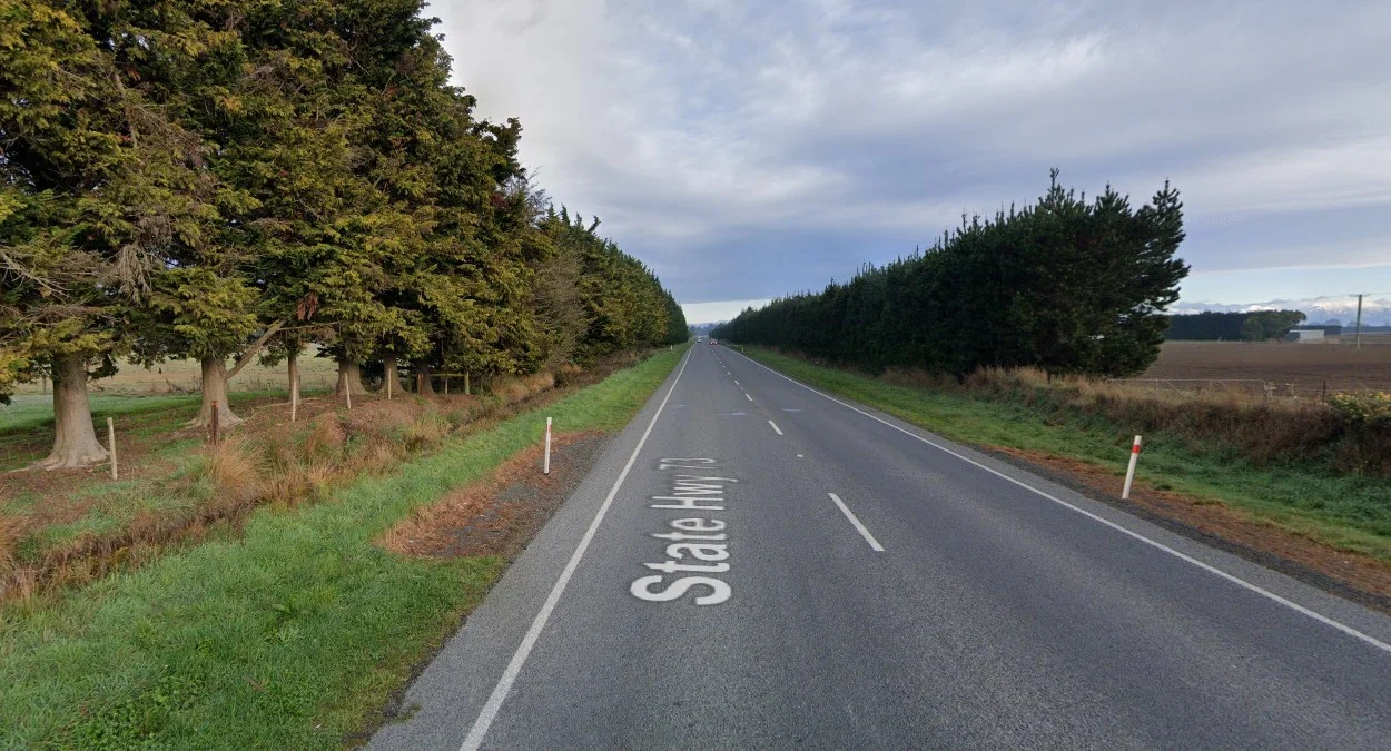 坎特伯雷高大樹籬與樹排