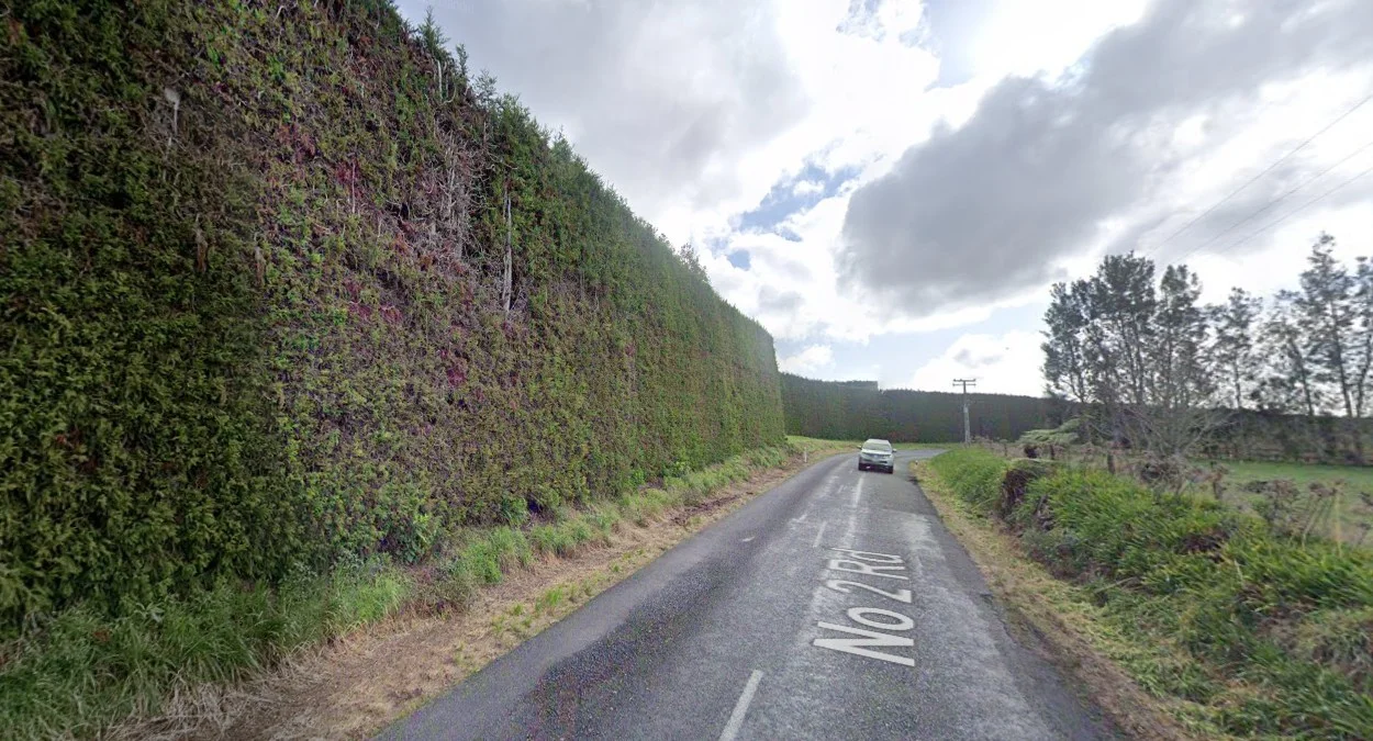 豐盛灣陶朗加高大樹籬