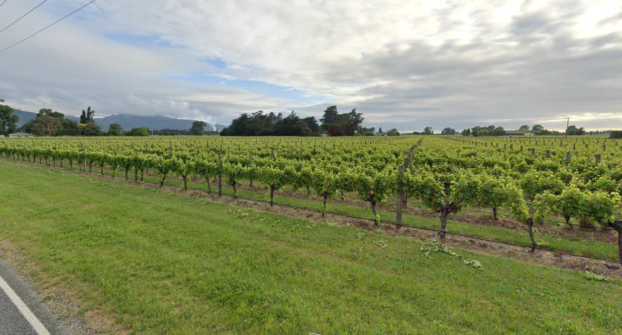 馬爾堡霍克斯灣葡萄園