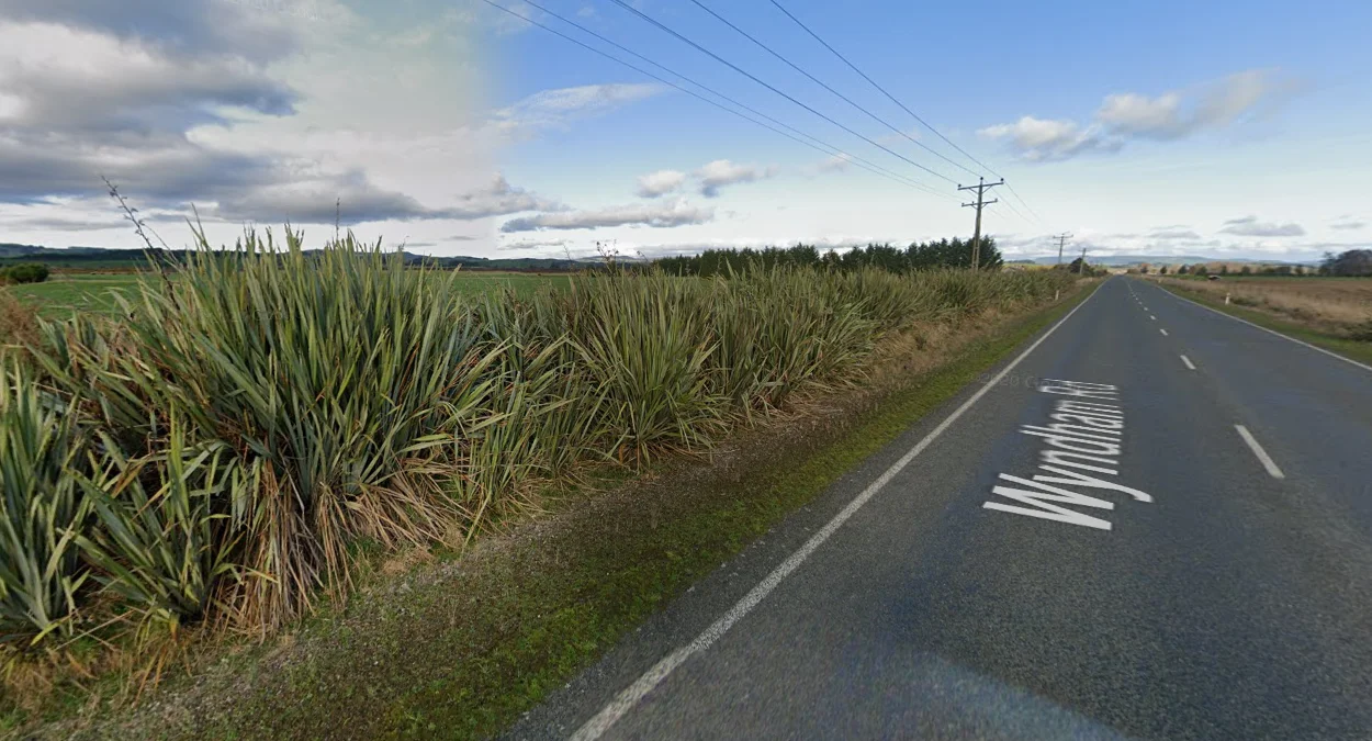 南地紐西蘭亞麻整齊排列