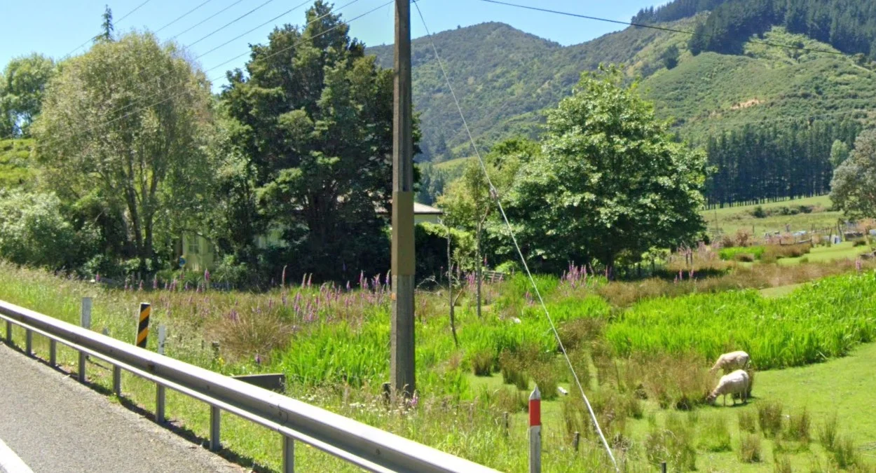 馬爾堡橄欖棕方型負鼠防護