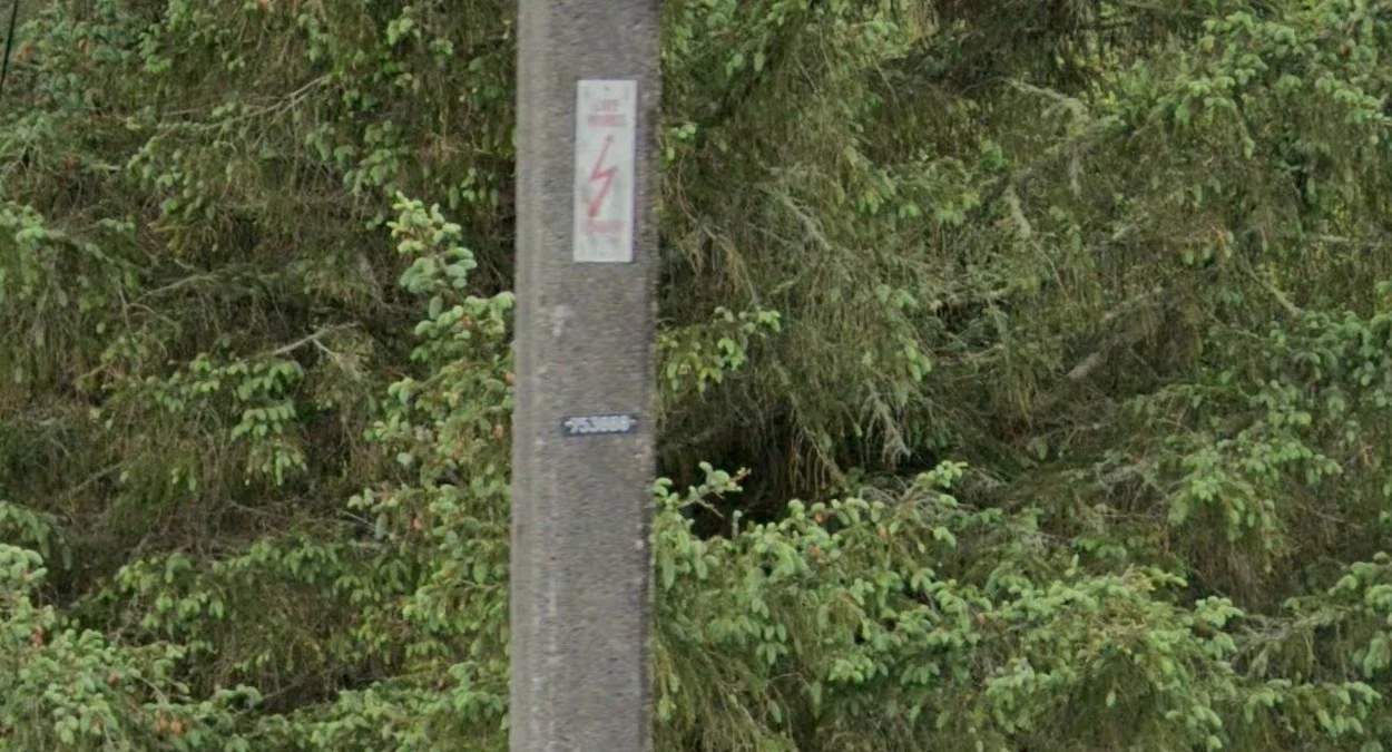 塔拉納基威靈頓黑色水平貼紙