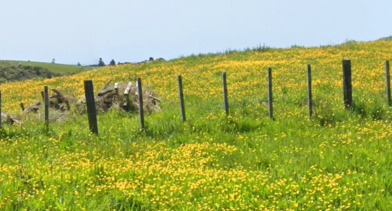 北島緊密木柵欄