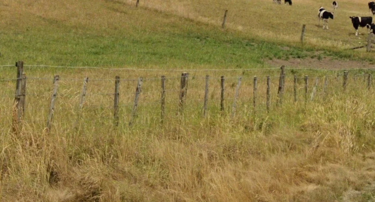 霍克斯灣柵欄短木延伸