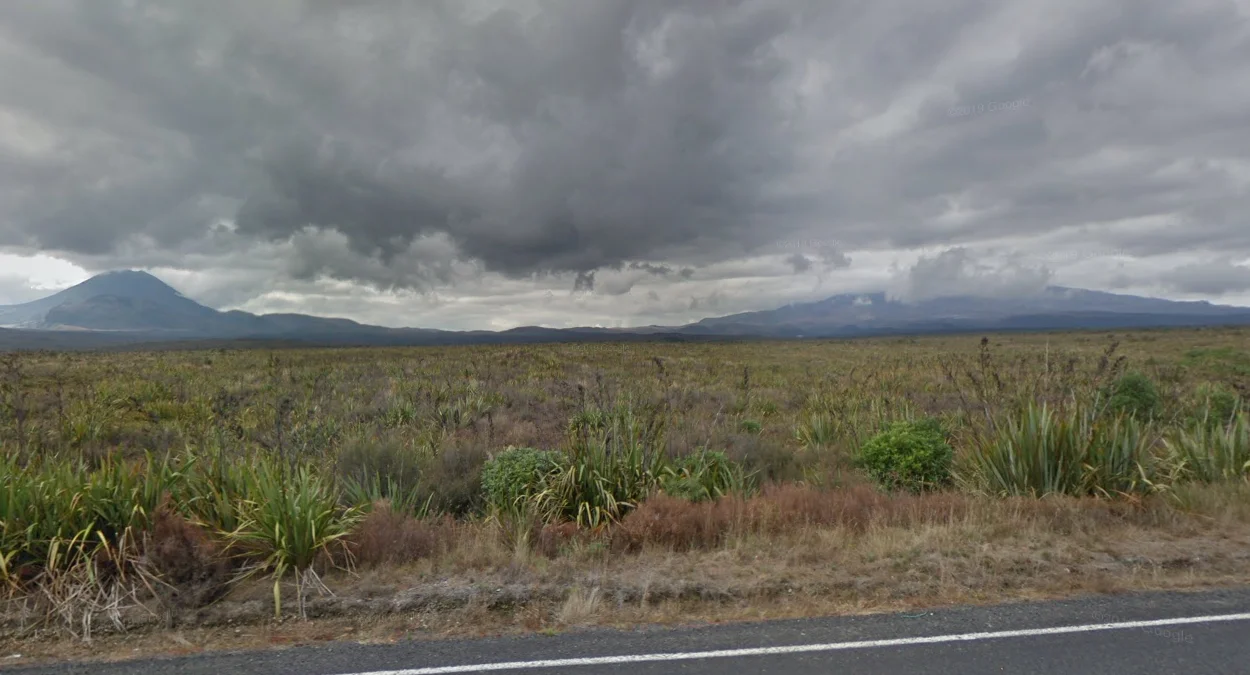 湯加里羅火山低矮植被