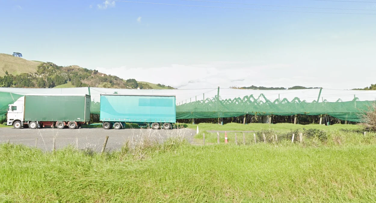 陶朗加吉斯伯恩果園