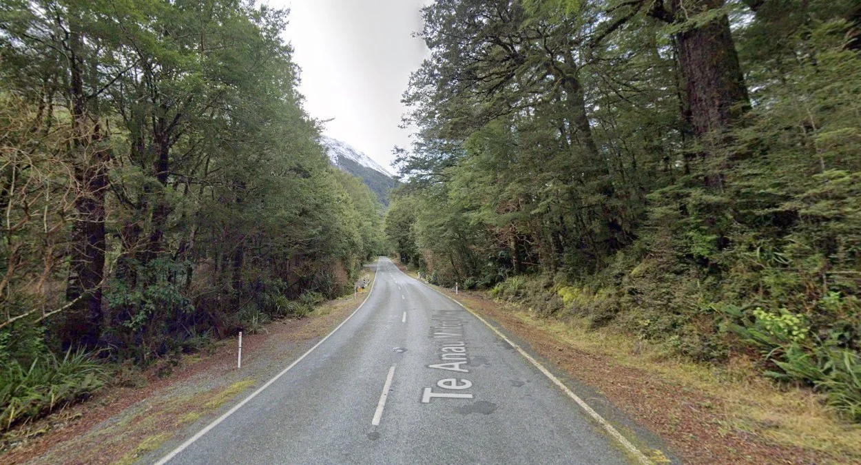 94號國道紅山毛櫸森林