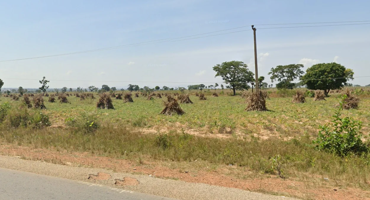 卡杜納州常見乾草堆