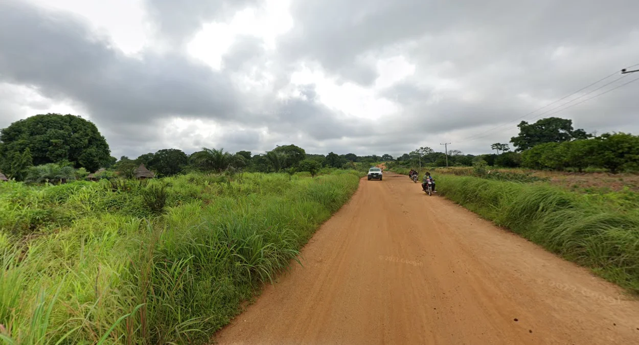 貝努埃州紅土綠草地