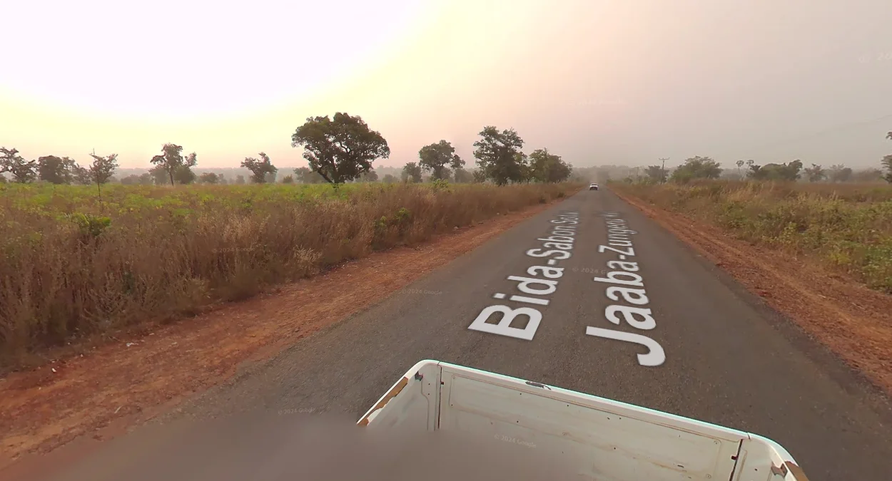 尼日爾州低質街景特徵