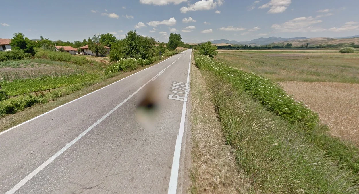 R1205公路上的蒼蠅