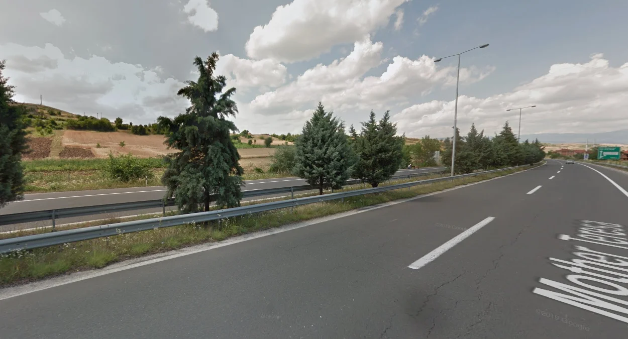 E-65護欄間的樹木