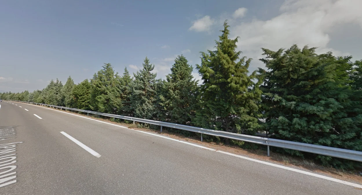 E75/A1中央分隔帶樹木