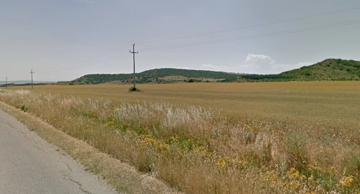 乾燥草原與零星樹木