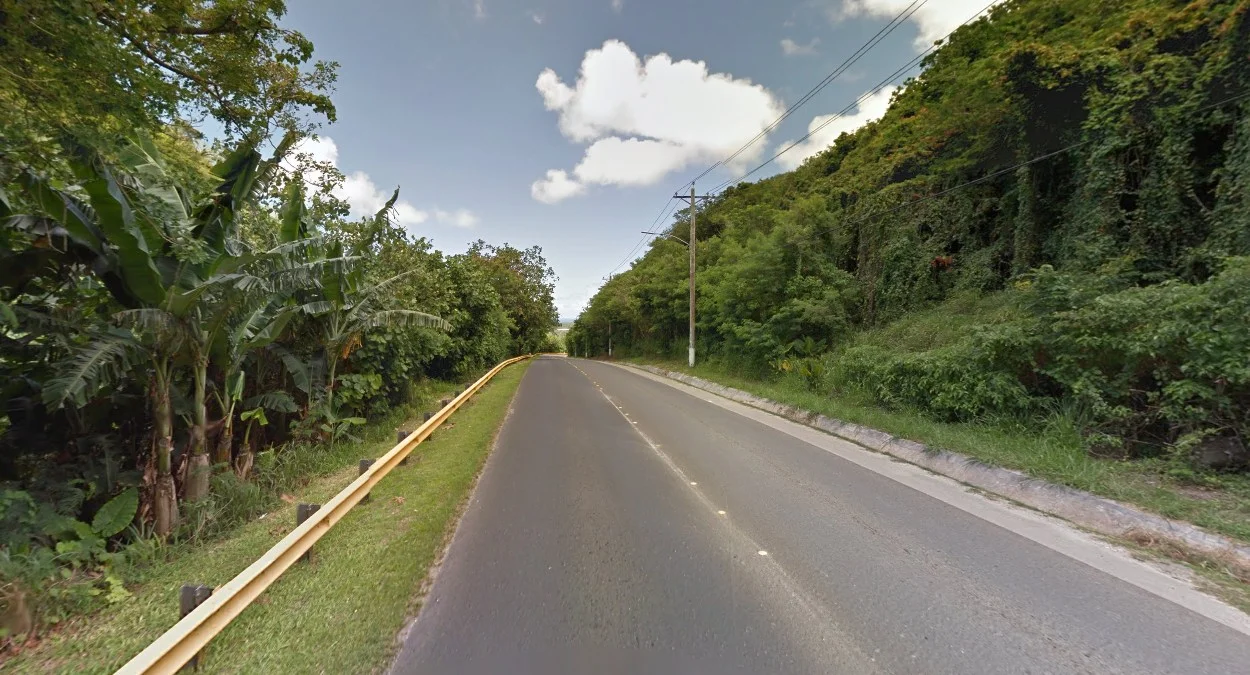 熱帶氣候與茂密植被