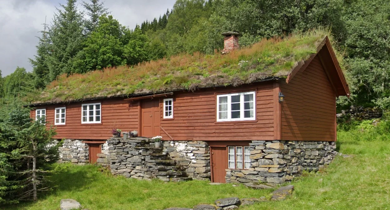 傳統草皮屋頂房屋