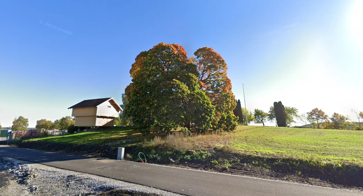 奧斯陸周圍楓樹分佈