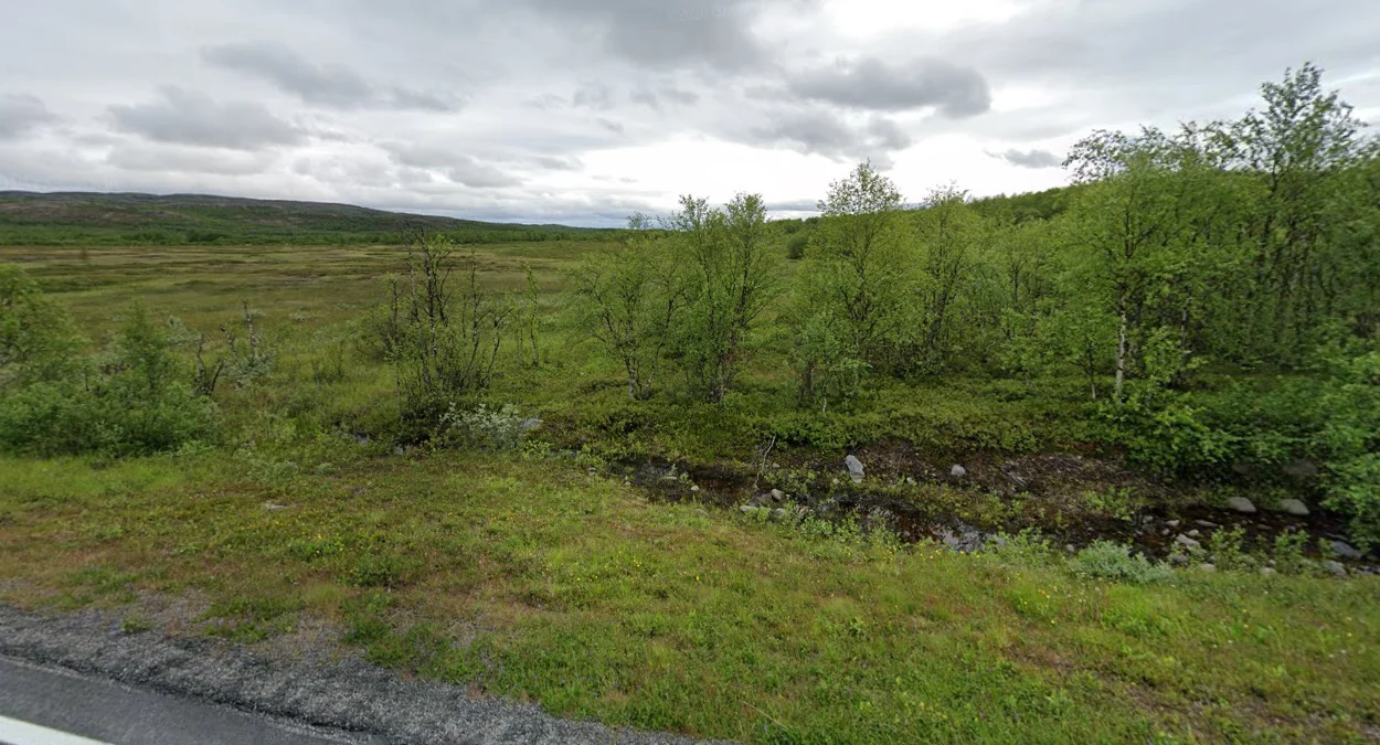 東北部起伏景觀與植被