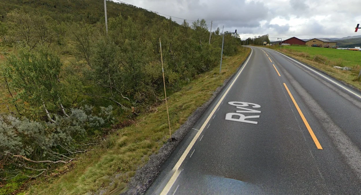 木製雪樁與塗漆反光片