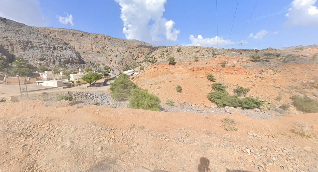 尼茲瓦北部綠色灌木