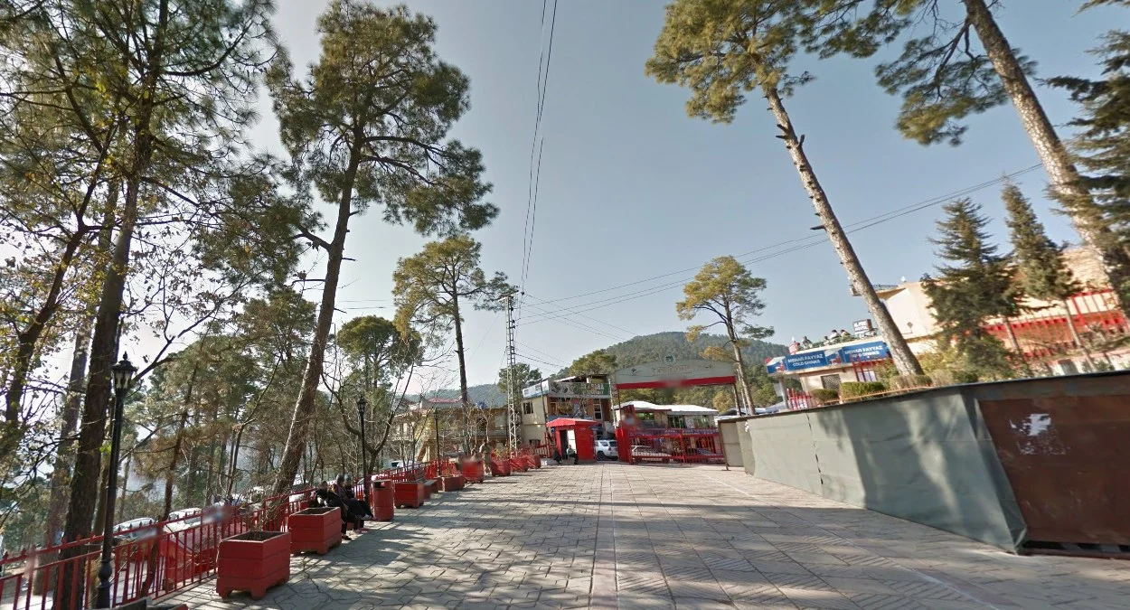 帕特里亞塔丘陵松林