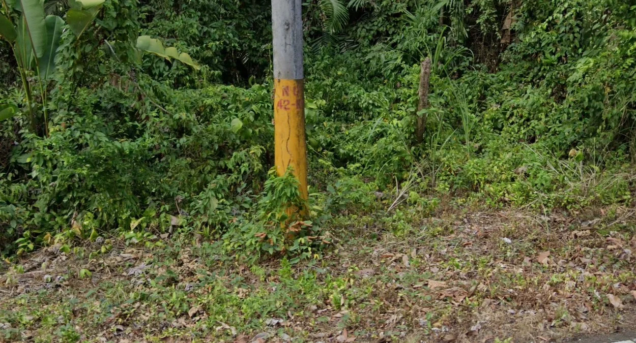 加通黃色電線桿套