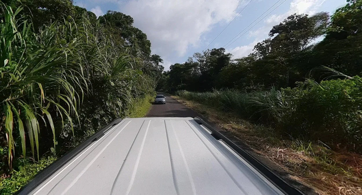 科隆與巴拿馬城熱帶景觀