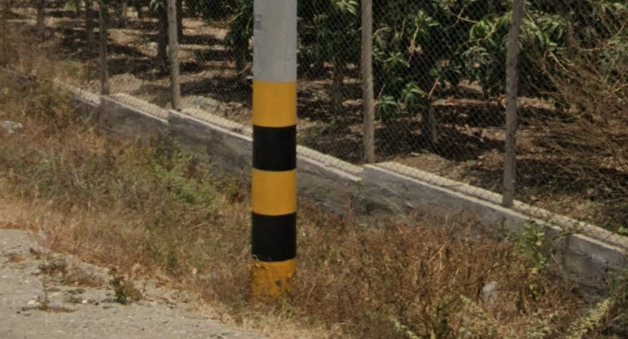 電線桿底部塗漆