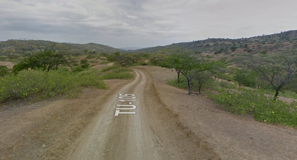 通貝斯省沙土與灌木