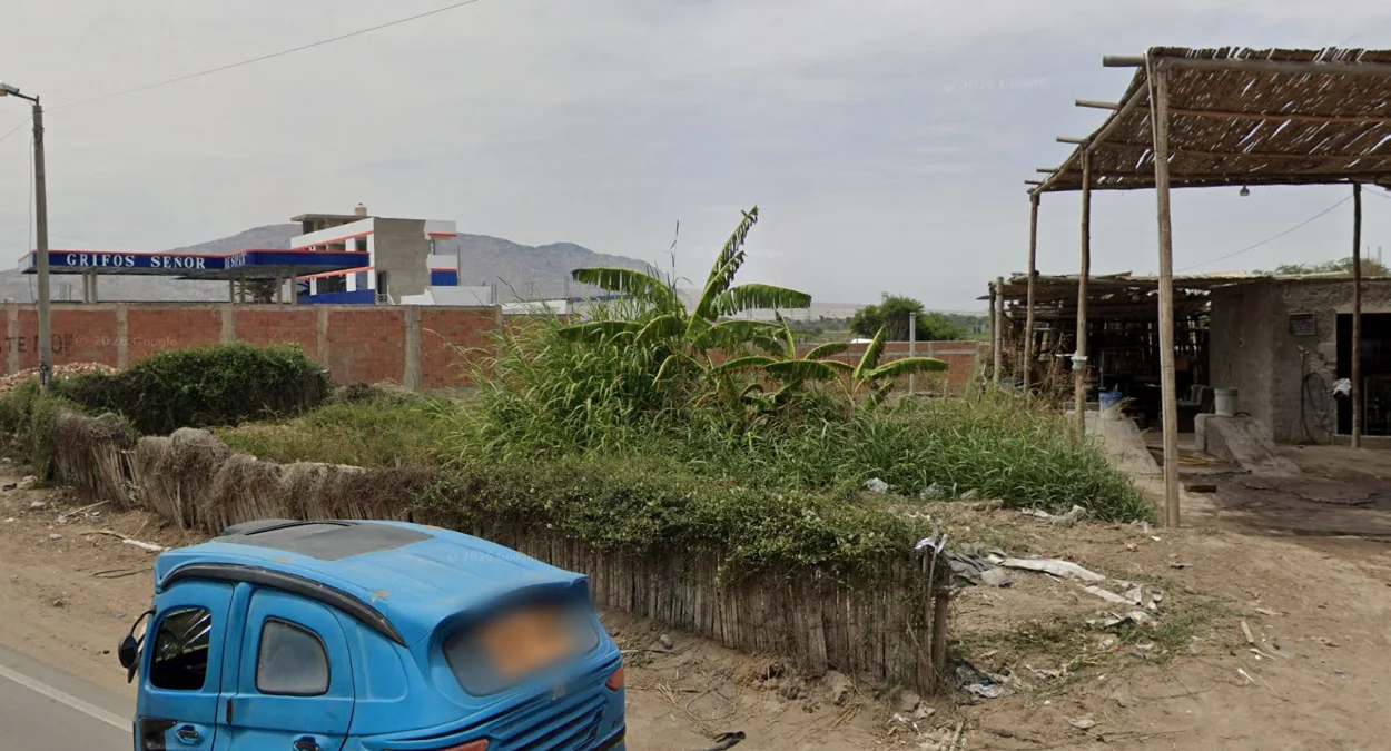 北部沿海香蕉植物