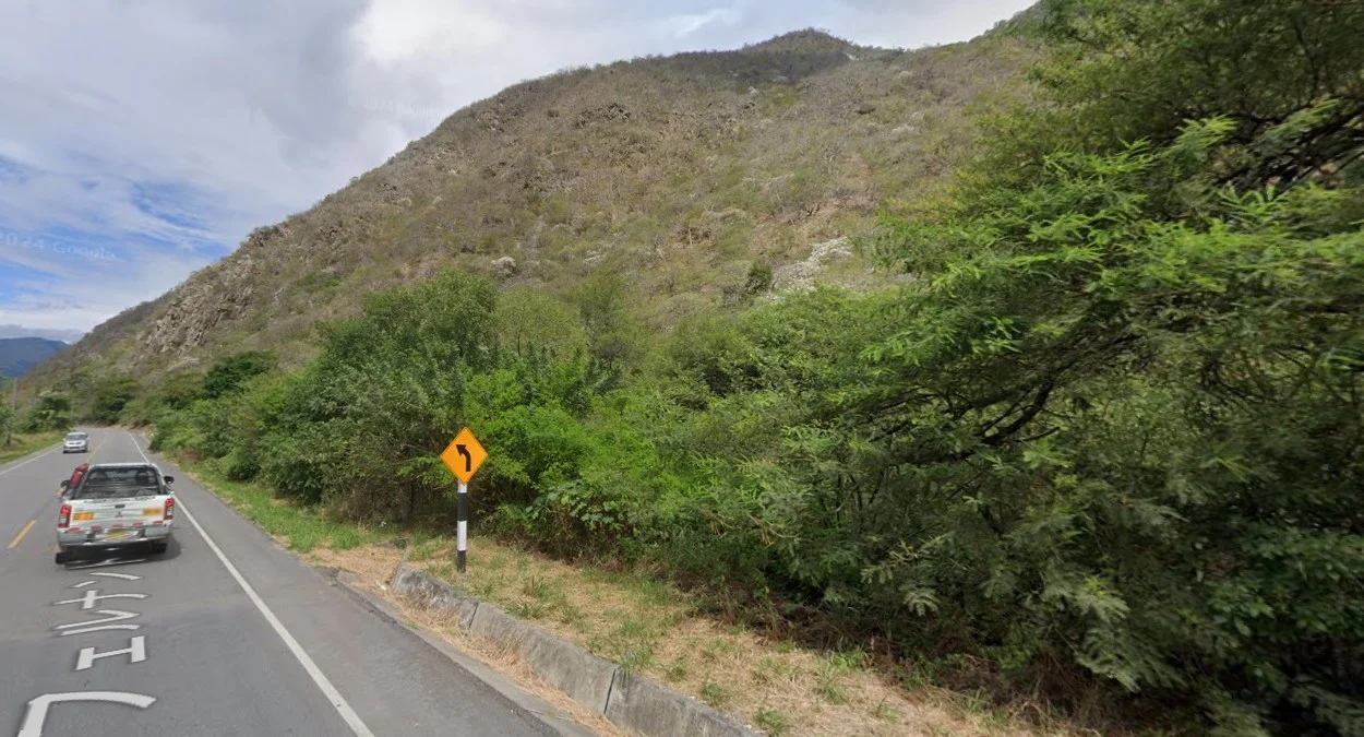 北部山區灌木叢