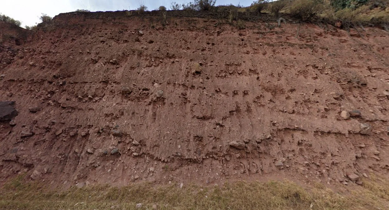 多處深紅色土壤