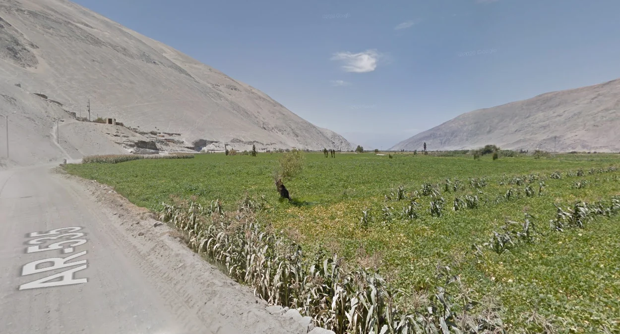 中南部沿海農業谷地