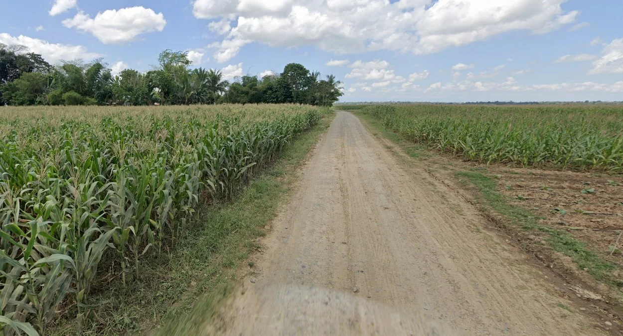 呂宋與民答那峨玉米