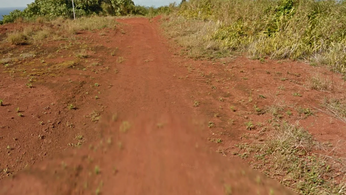 常見的深紅色土壤